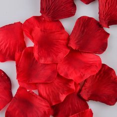 Лепестки роз