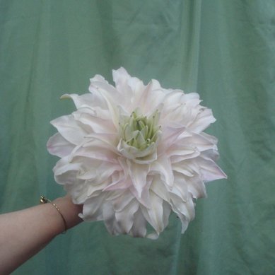 Букет Ф2335 - Салон цветов Флорина