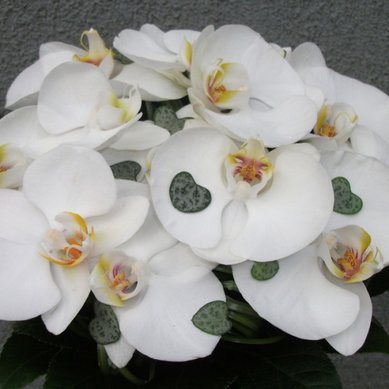 Букет Ф2374 - Цветочное бюро ФЛЁР