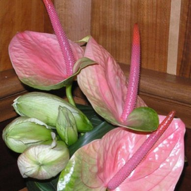 Цветочная композиция А2503 - Мастерская флористики и декора Анютины глазки