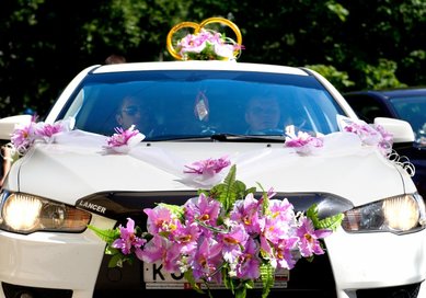 Красота Э9378 - Сеть магазинов Элит Букет