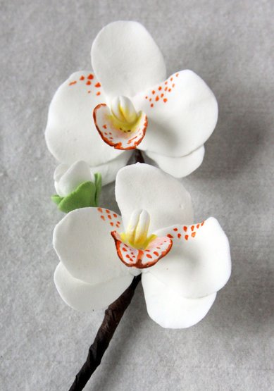 Скромность Э9379 - Сеть магазинов Элит Букет