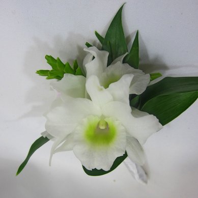 Бутоньерка 9 С9872 - Салон цветов Супермаркет цветов и подарков