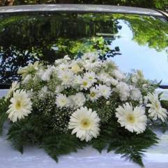 Салон цветов Маргарита